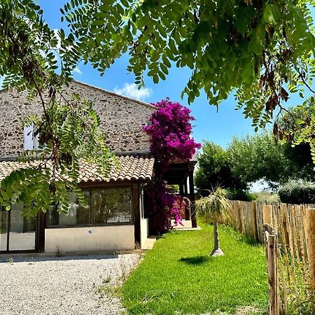 Grand Studio A 5Mns De La Plage Des Salins Hyeres Exterior photo
