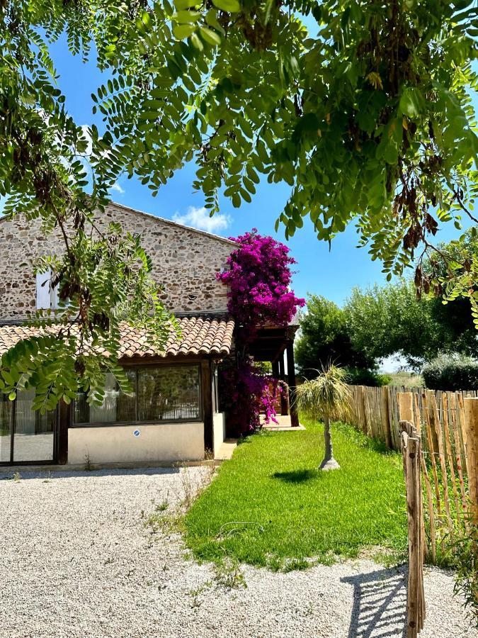 Grand Studio A 5Mns De La Plage Des Salins Hyeres Exterior photo